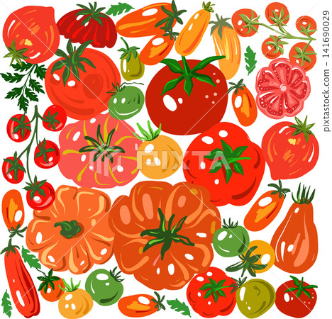 Colorful tomato collection in hand drawn vector illustration Colorful tomato collection in hand drawn vector illustration 141690029