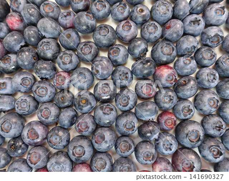 blueberry fruit berries blueberry fruit berries 141690327
