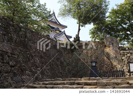 這是彥根城的主塔,是日本國寶。 這是彥根城的主塔,是日本國寶。 141691044