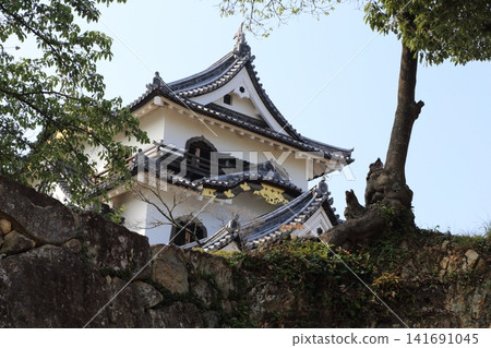 這是彥根城的主塔,是日本國寶。 這是彥根城的主塔,是日本國寶。 141691045