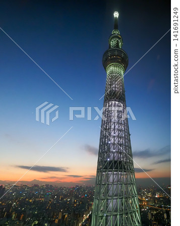 在黃昏的天空樹 141691249