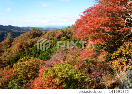 Nabeyama, Hitachiota City, Ibaraki Prefecture: In November, the mountains of Hitachi are adorned with reds and yellows. Nabeyama, Hitachiota City, Ibaraki Prefecture: In November, the mountains of Hitachi are adorned with reds and yellows. 141691855