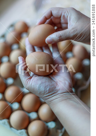 Hand Selecting Fresh Chicken Eggs from Egg Cartons Hand Selecting Fresh Chicken Eggs from Egg Cartons 141691888