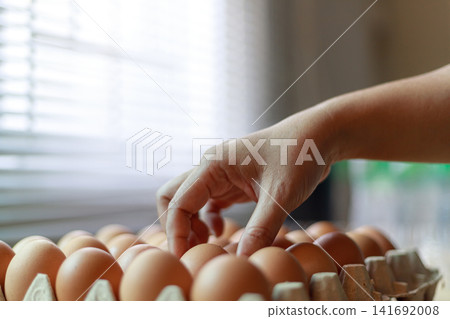 Hand Selecting Fresh Chicken Eggs from Egg Cartons Hand Selecting Fresh Chicken Eggs from Egg Cartons 141692008