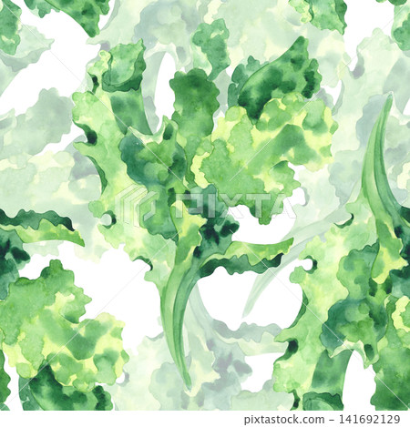 Seamless pattern of the lettuce. Watercolor illustration. Handmade art work. For packaging design, cards, cover, prints, product labels and fabric. Seamless pattern of the lettuce. Watercolor illustration. Handmade art work. For packaging design, cards, cover, prints, product labels and fabric. 141692129