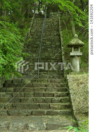 通往元基寺的綠樹成蔭的道路 通往元基寺的綠樹成蔭的道路 141692204