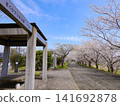 Hirose Sakurazutsumi Park, located along the Koto River in Ube City, Yamaguchi Prefecture 141692878