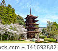 Rurikoji Temple's Five-Storied Pagoda and Cherry Blossoms: Popular Tourist Spots in Yamaguchi City 141692882