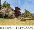 Rurikoji Temple's Five-Storied Pagoda and Cherry Blossoms: Popular Tourist Spots in Yamaguchi City 141692889
