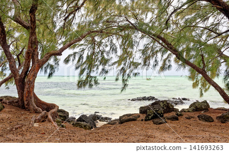Scenic tropical beach with turquoise lagoon water, dark volcanic rocks, and pine trees at Ile aux Cerfs, Mauritius Scenic tropical beach with turquoise lagoon water, dark volcanic rocks, and pine trees at Ile aux Cerfs, Mauritius 141693263