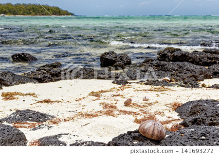 Scenic tropical beach with turquoise lagoon water, dark volcanic rocks, and pine trees at Ile aux Cerfs, Mauritius Scenic tropical beach with turquoise lagoon water, dark volcanic rocks, and pine trees at Ile aux Cerfs, Mauritius 141693272