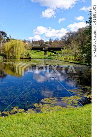Scenic reflection of the historic orangery and weeping willow tree in the garden lake at Dyrham Park, England Scenic reflection of the historic orangery and weeping willow tree in the garden lake at Dyrham Park, England 141693302
