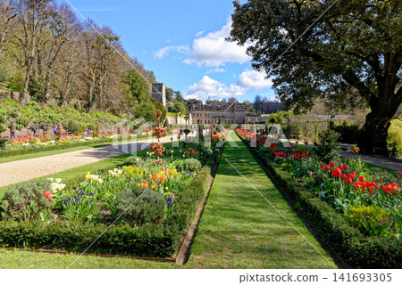 Vibrant spring flower borders and manicured grass paths leading to the historic mansion at Dyrham Park, England Vibrant spring flower borders and manicured grass paths leading to the historic mansion at Dyrham Park, England 141693305