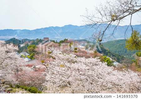 Kinpusen-ji Temple viewed through cherry blossoms 141693370