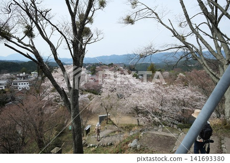 Kinpusen-ji Temple viewed through cherry blossoms Kinpusen-ji Temple viewed through cherry blossoms 141693380