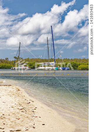 Scenic tropical beach with turquoise lagoon water, dark volcanic rocks, and pine trees at Ile aux Cerfs, Mauritius 141693483