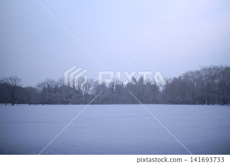 冬日公園靜謐的景色,落葉喬木上覆蓋著皚皚白雪。 冬日公園靜謐的景色,落葉喬木上覆蓋著皚皚白雪。 141693733