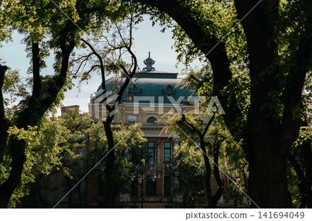Historic domed building framed by trees in Subotica, Serbia. Elegant architecture hidden in summer greenery and soft light 141694049