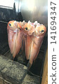 Hanging up sea bream to dry: Preparation for dried fish 141694347