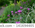 Flowers at Ishibashi Cultural Center 141694405