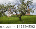 Lyubcha Castle in a blooming apple orchard. Lyubcha village, Novogrudok district, Grodno region, Republic of Belarus 141694592