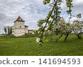 Lyubcha Castle in a blooming apple orchard. Lyubcha village, Novogrudok district, Grodno region, Republic of Belarus 141694593