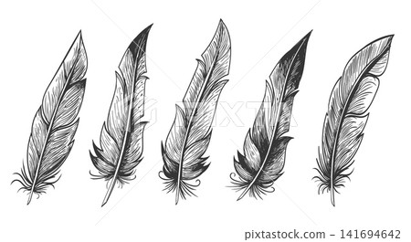 Boho style feathers set Boho style feathers set 141694642