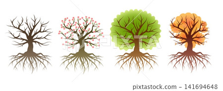 Trees with roots season set Trees with roots season set 141694648