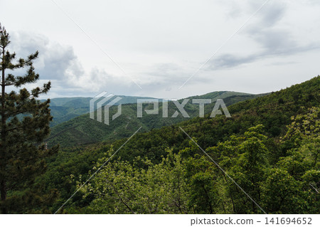 Panoramic spring view of forest mountains and cloudy sky on Stolovi Mountain in Serbia. Concept of freedom, travel and untouched Balkan nature 141694652