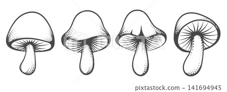 Hand drawn cartoon mushrooms Hand drawn cartoon mushrooms 141694945