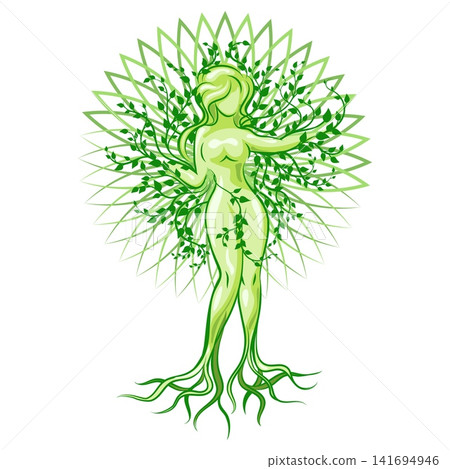 Dryad woman tree vector illustration Dryad woman tree vector illustration 141694946
