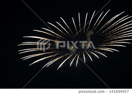 Fireworks display (Edogawa Fireworks Festival 2026) Fireworks display (Edogawa Fireworks Festival 2026) 141694957