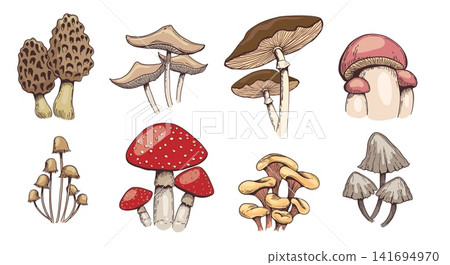 Cartoon colorful mushroom set 141694970