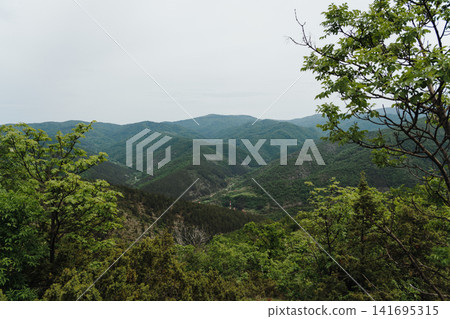 Panoramic spring view of forest mountains and cloudy sky on Stolovi Mountain in Serbia. Concept of freedom, travel and untouched Balkan nature Panoramic spring view of forest mountains and cloudy sky on Stolovi Mountain in Serbia. Concept of freedom, travel and untouched Balkan nature 141695315