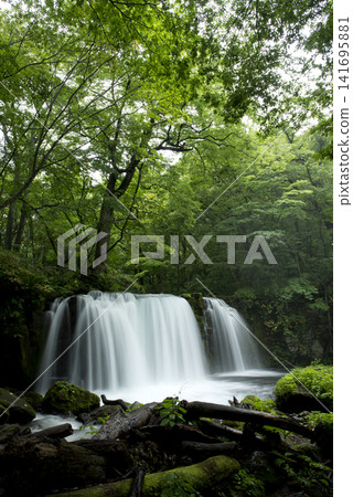 Oirase Stream Choshi Otaki Oirase Stream Choshi Otaki 141695881