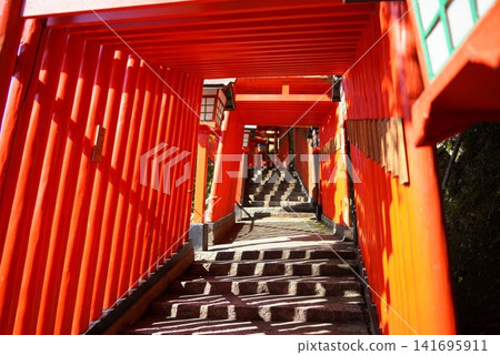 The thousand torii gates and stone steps of Taikodani Inari Shrine The thousand torii gates and stone steps of Taikodani Inari Shrine 141695911