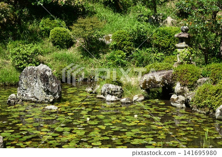 根五郎寺花園 根五郎寺花園 141695980