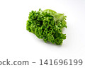 Fresh, vibrant green leaf lettuce 141696199