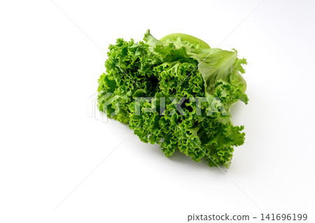 Fresh, vibrant green leaf lettuce 141696199