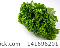 Fresh, vibrant green leaf lettuce 141696201