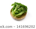 Fresh, vibrant green leaf lettuce 141696202