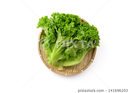 新鮮綠葉生菜 新鮮綠葉生菜 141696203