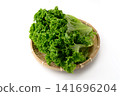 Fresh, vibrant green leaf lettuce 141696204