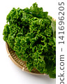 Fresh, vibrant green leaf lettuce 141696205