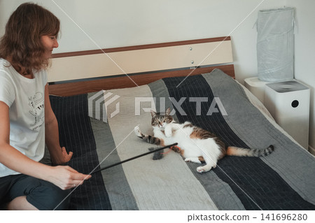 Woman entertaining a playful tabby cat on a bed with an interactive wand toy. Cozy indoor lifestyle scene highlighting enrichment, exercise, bonding, and pet wellbeing Woman entertaining a playful tabby cat on a bed with an interactive wand toy. Cozy indoor lifestyle scene highlighting enrichment, exercise, bonding, and pet wellbeing 141696280