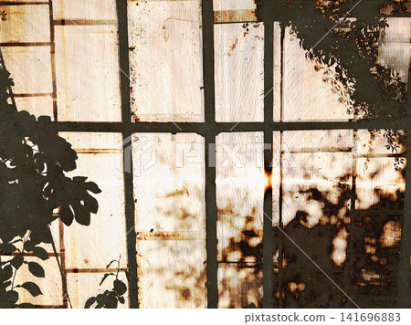 Warm sunlight shining through an aged greenhouse glass roof, creating botanical leaf shadows and geometric patterns. Glasshouse interior. Warm sunlight shining through an aged greenhouse glass roof, creating botanical leaf shadows and geometric patterns. Glasshouse interior. 141696883