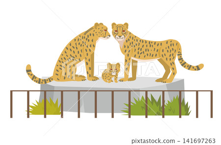 動物園裡的一群獵豹 動物園裡的一群獵豹 141697263