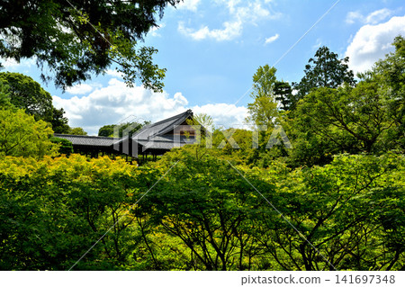 Kyoto · Tofukuji Kyoto · Tofukuji 141697348