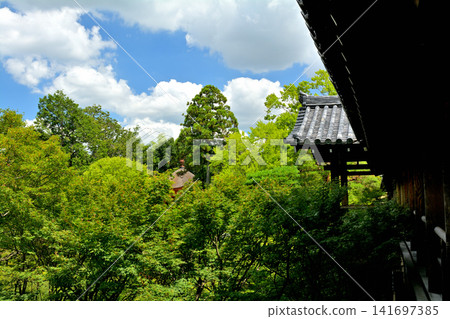 京都·東福寺 京都·東福寺 141697385
