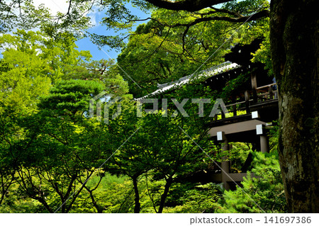 Kyoto · Tofukuji Kyoto · Tofukuji 141697386
